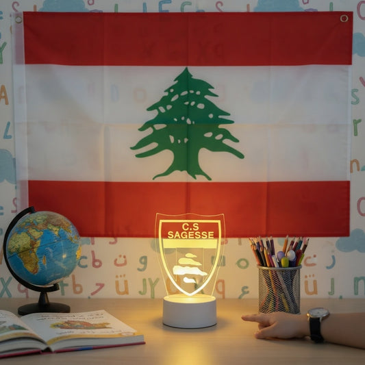 C.S. Sagesse LED Night Light Lamp