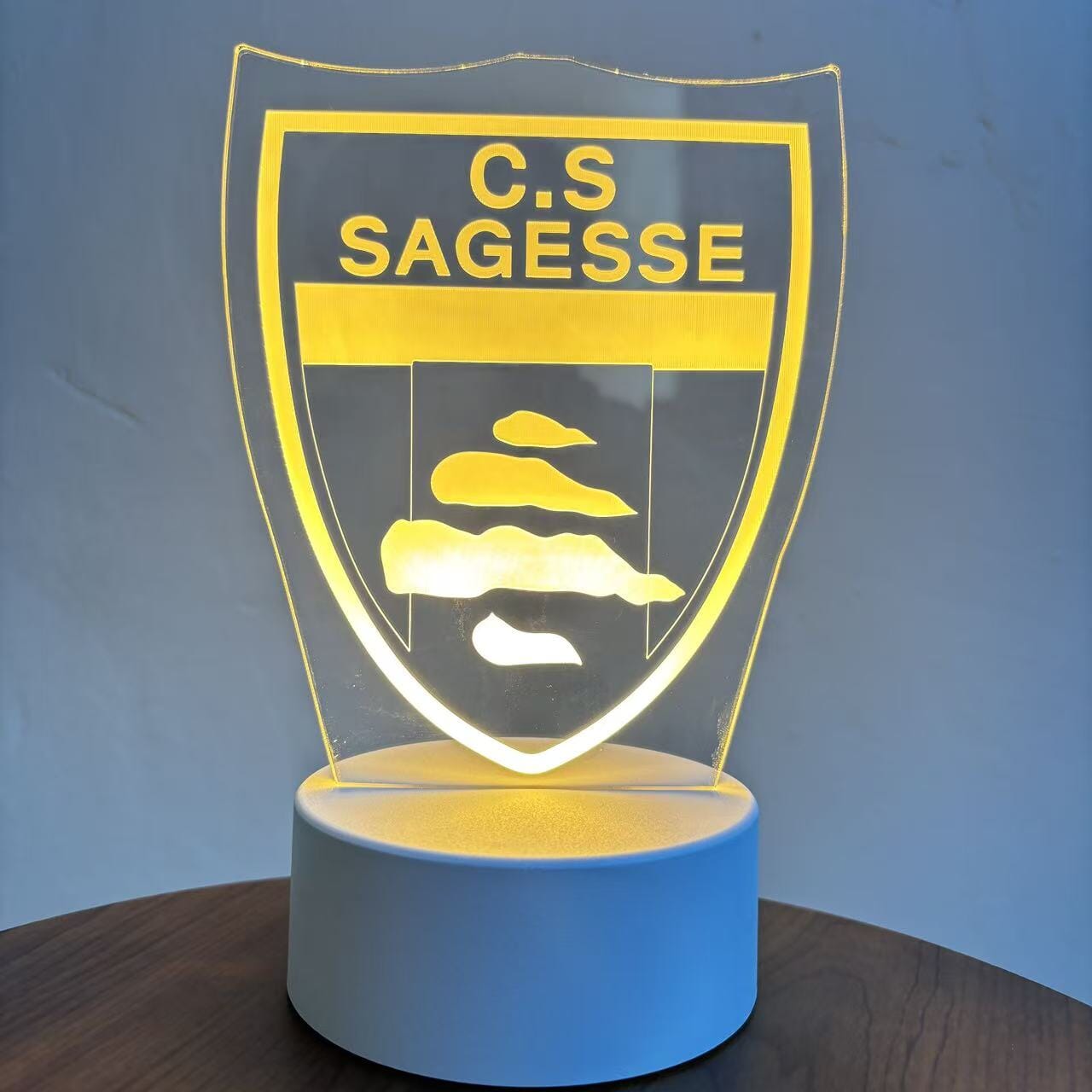 C.S. Sagesse LED Night Light Lamp Sports Fan Gear arclight 